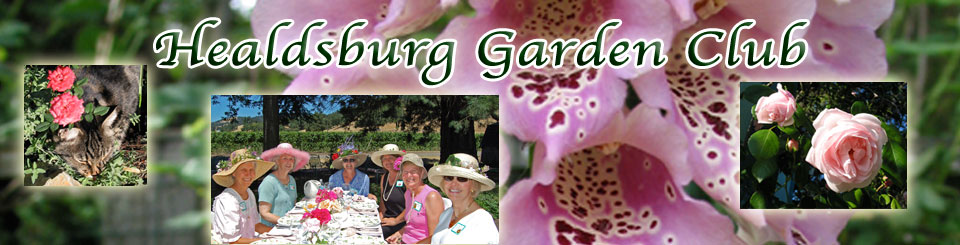 Healdsburg Garden Club